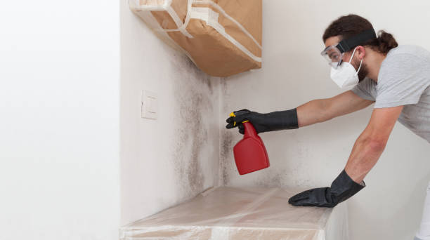 Professional Attic Mold Remediation technician working in Wilmette, IL