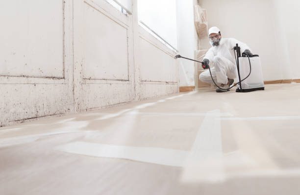 24/7 Emergency Attic Mold Remediation experts in Wilmette, IL